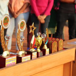 Trophies of APL-2017