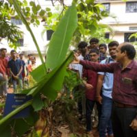 Dr. Krishnamurthy demonstrating medicinal plants during Alva’s Agamana at Alva’s Institute of Engineering and Technology