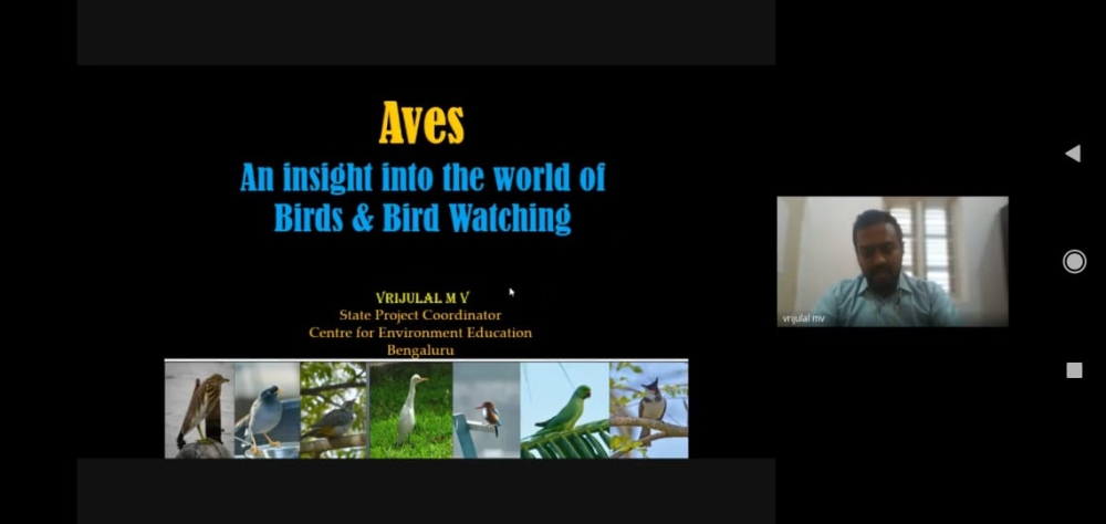 An Insight into the world of Birds and Birds watching